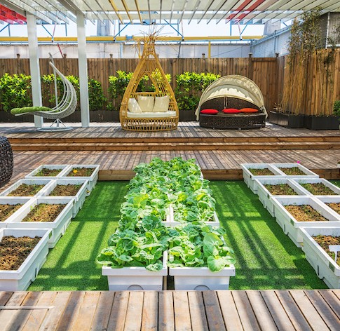 artificial grass on the roof