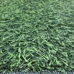 Artificial Lawn for Sports BG LANCE 2