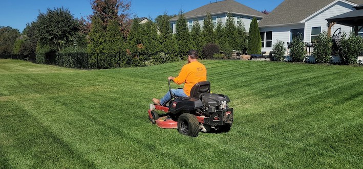 Lawn Cleaning